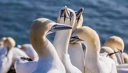 KAIYUNAPP-广州恒大客场战胜对手，继续保持领先优势，广州恒大主场地址