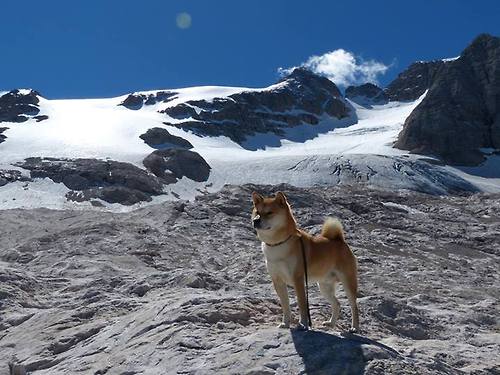 _森林狼队团结一致,继续争夺胜利_,森林狼团队口号