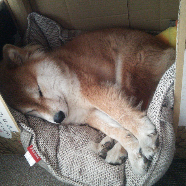 “球员异彩纷呈:场内外的趣味生活”,球场趣事