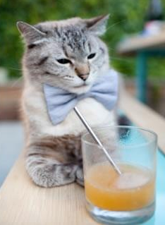 “逆境逆转:那些年度最惊心动魄的反败为胜战役”,逆境翻盘