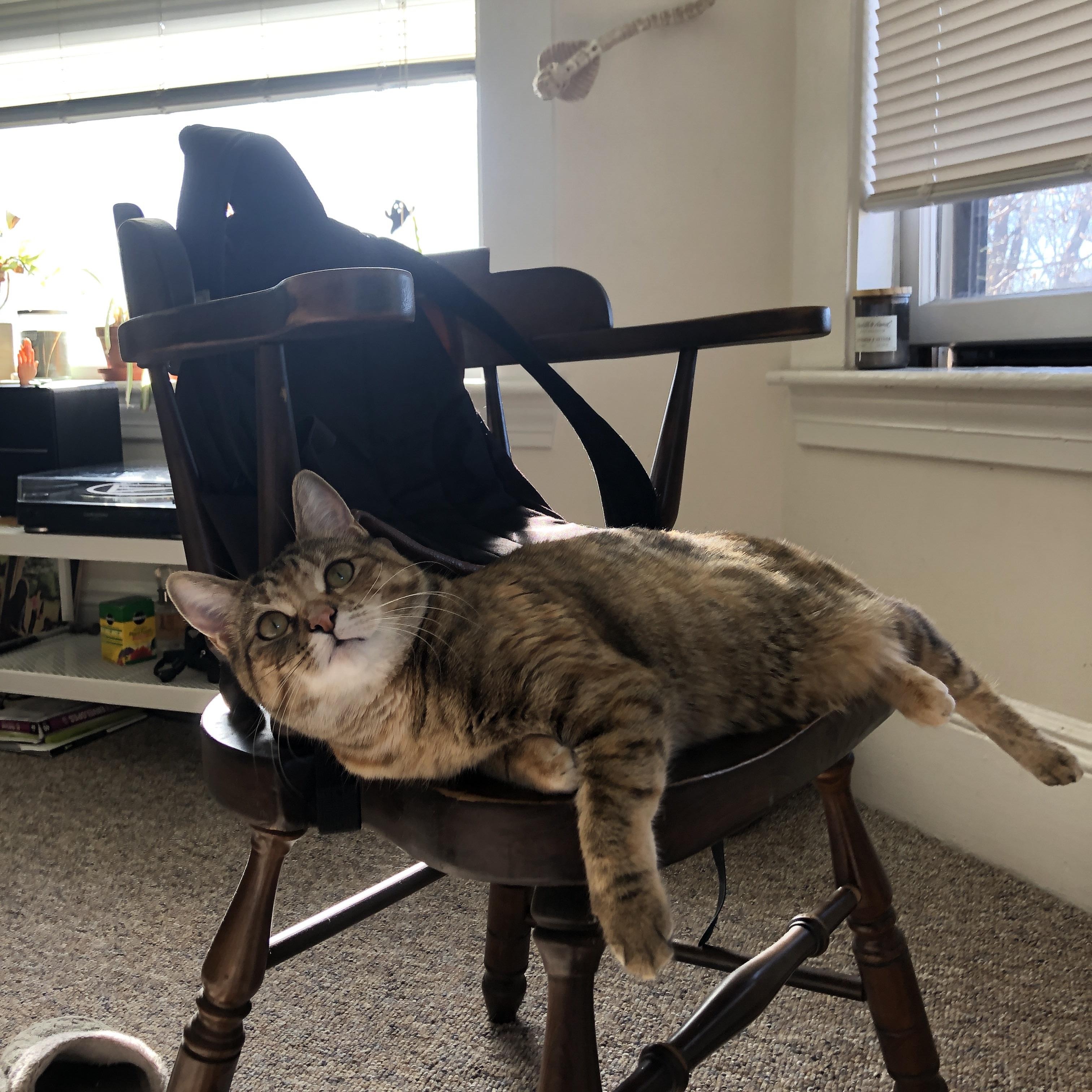 【女子棒球】女选手们在赛场上的突破,女棒球员