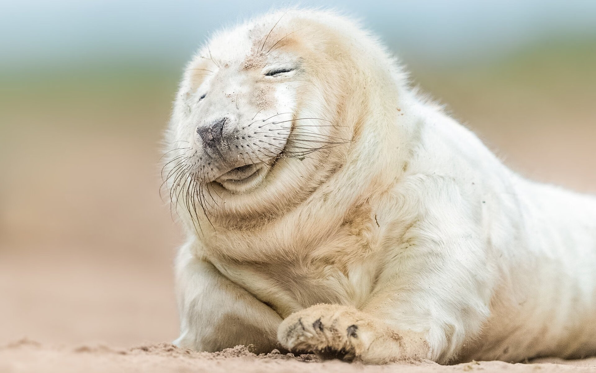 东京奥组委被爆财务黑洞，审计报告引争议，东京奥组委将退约60万张票