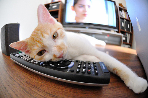 东京奥组委被爆财务黑洞，审计报告引争议，东京奥组委将退约60万张票