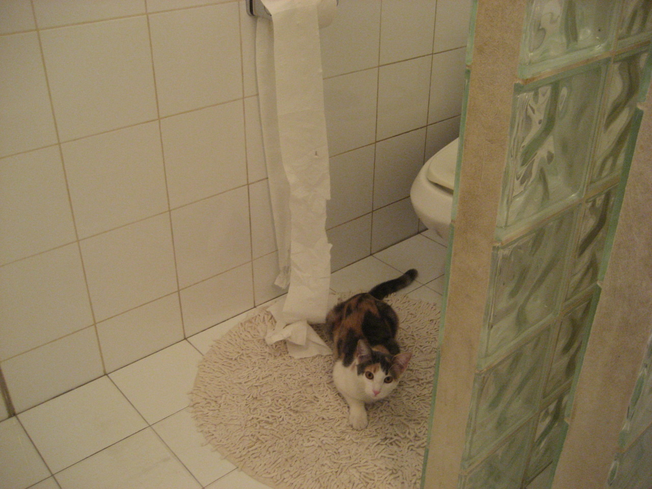 重大赛事预告:未来几周的重要比赛,2022年重大赛事