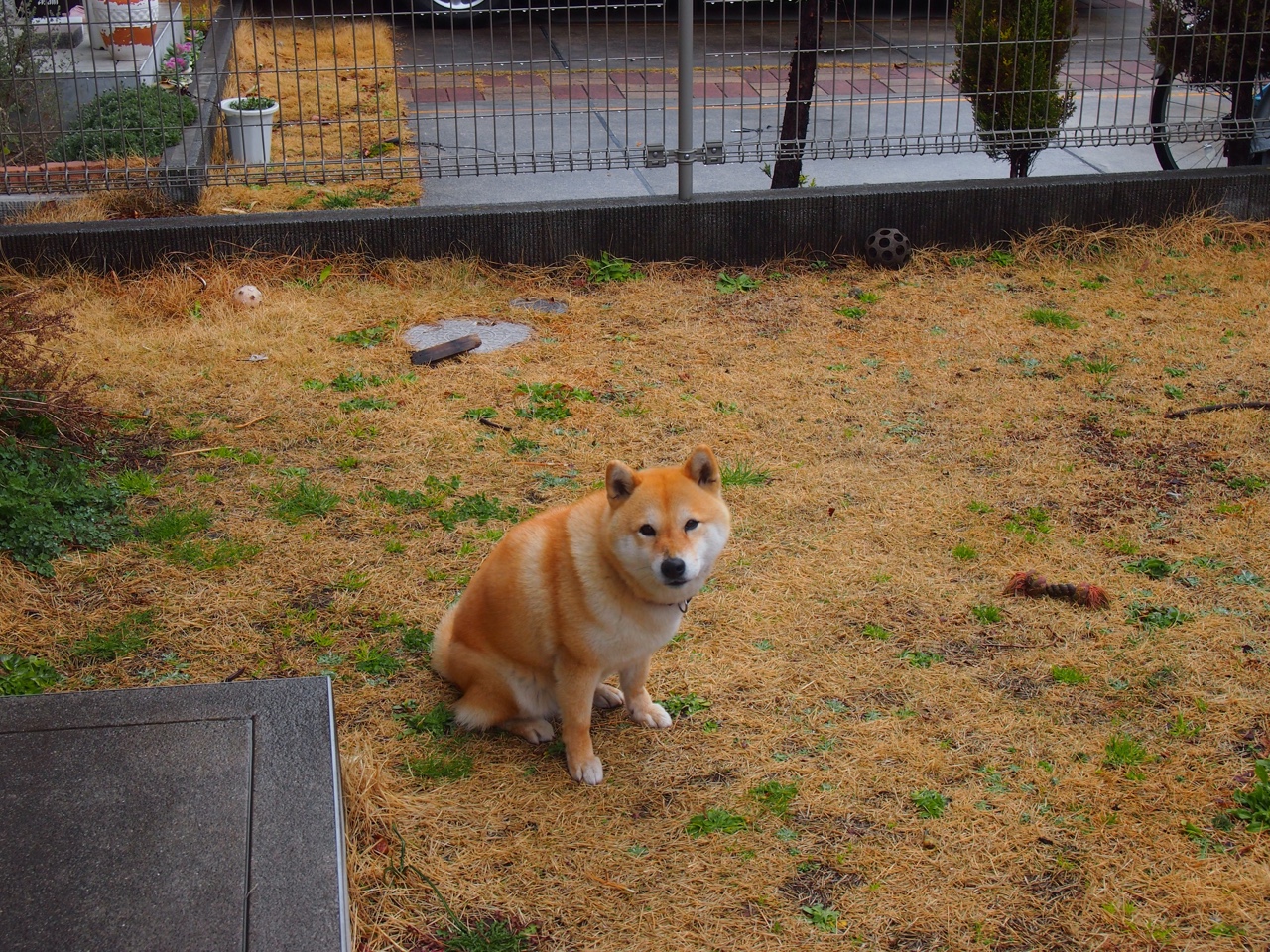 尼克斯压哨战胜快船,季后赛首轮中布伦森贡献关键助攻,尼克斯击败快船