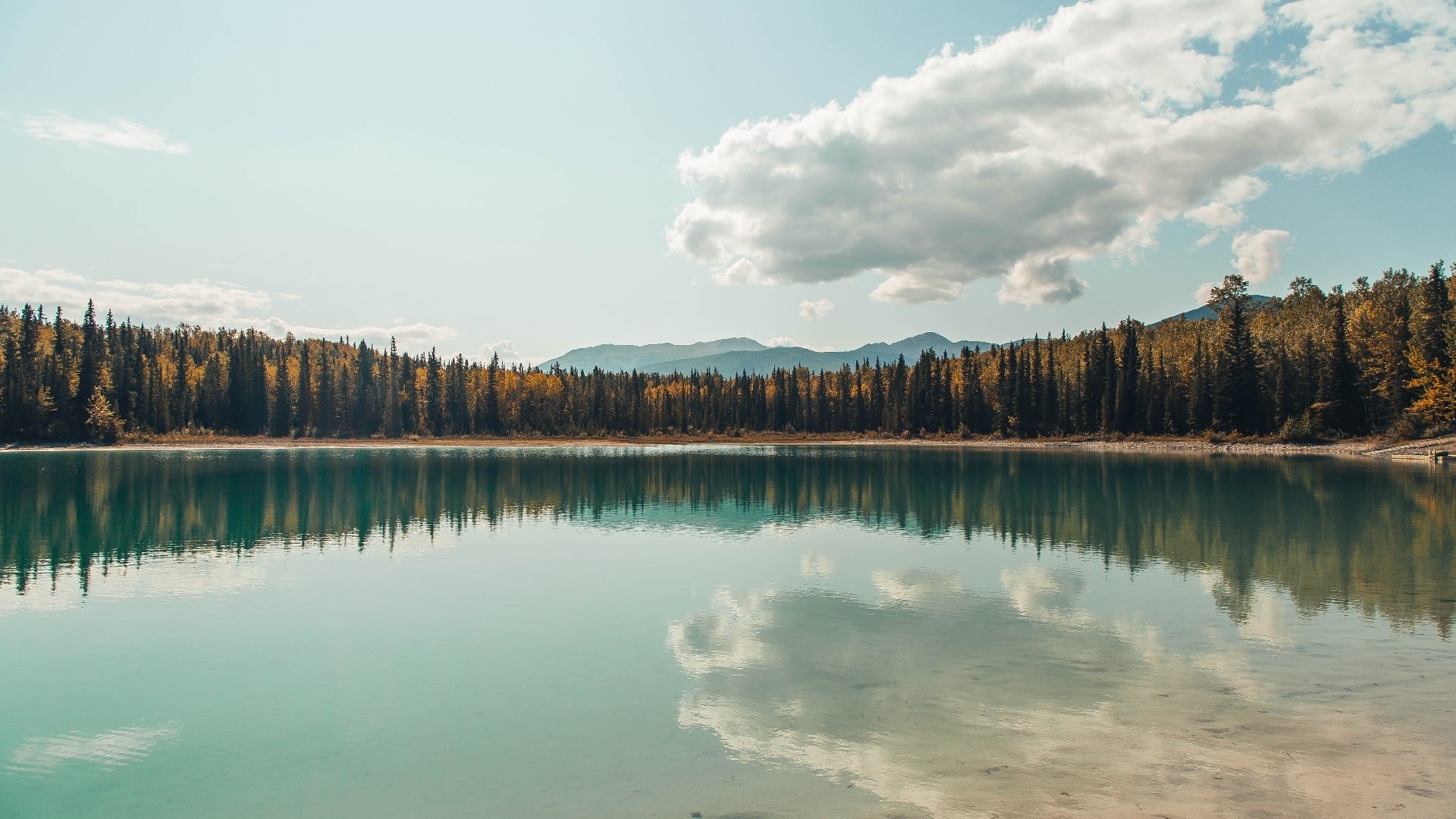 开云平台-日本足球展现东方魅力！，日本足球队视频