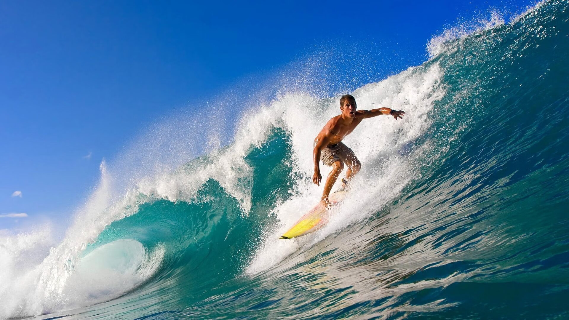 是否应推动球员成为青年环保行动领袖