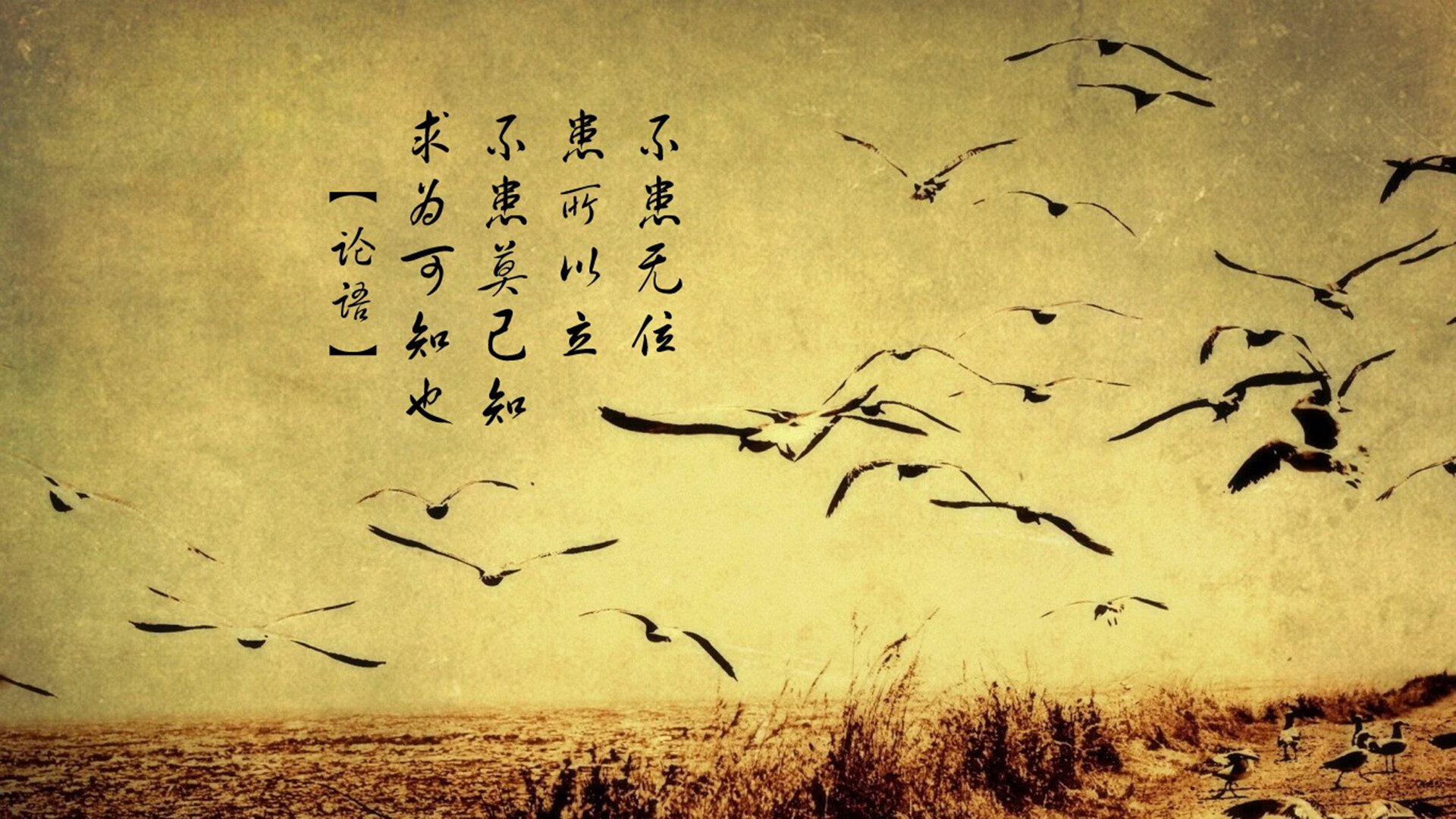 蔚山现代客场强势取胜,蔚山现代在哪个城市