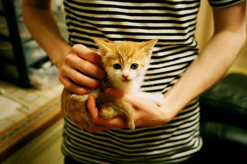 阿尔卑斯人客场击败圣埃蒂安,保持近期不败纪录,阿尔卑斯球场