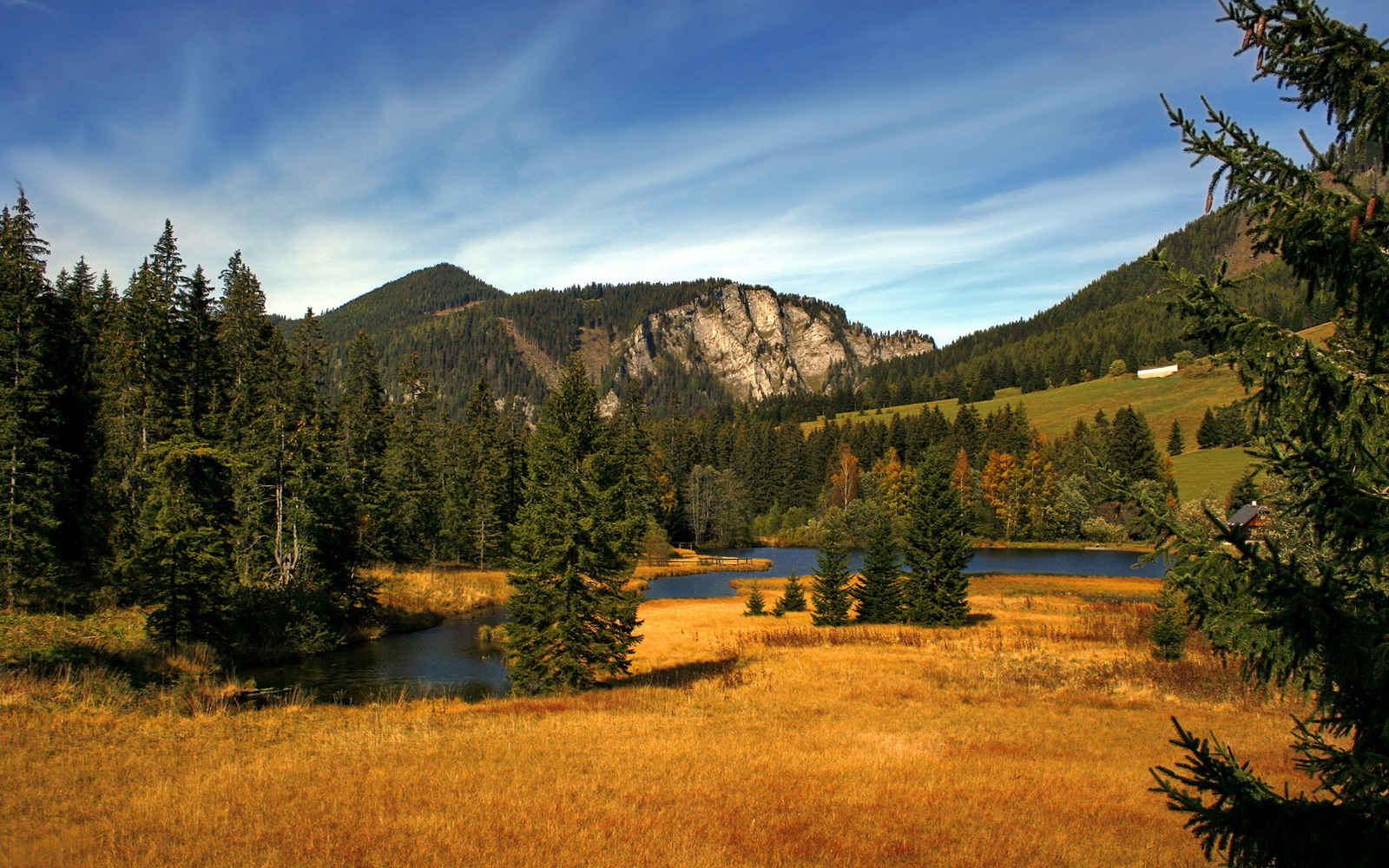 日本马术协会与科技公司合作，开发虚拟现实训练平台，提升骑手技能。
