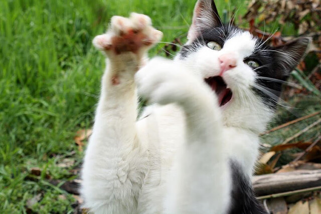 中超球队对外热身赛表现回顾,曝中超热身赛起冲突