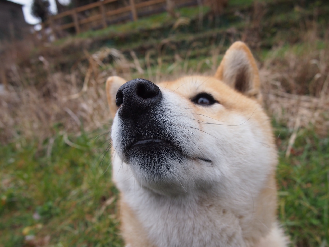 五大联赛是否更注重控球中断后的重新组织路径，五大联赛球风