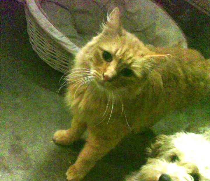 kaiyun官方入口登录-外教管理模式与本土文化冲突明显，外教管理办法