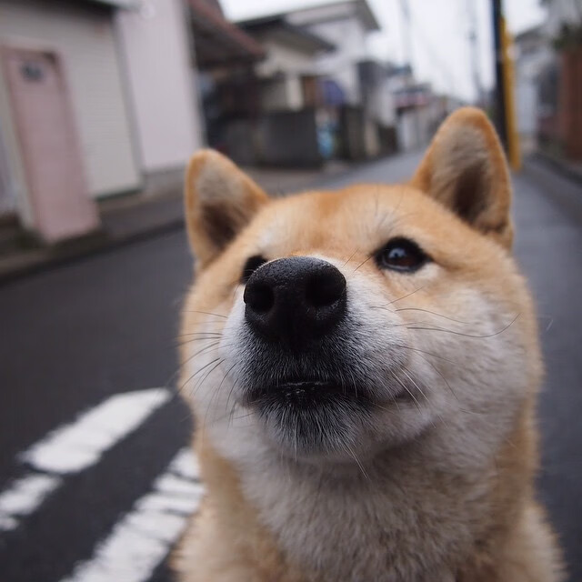 足球青训基地开展多元文化交流活动，足球青训基地开展多元文化交流活动的意义