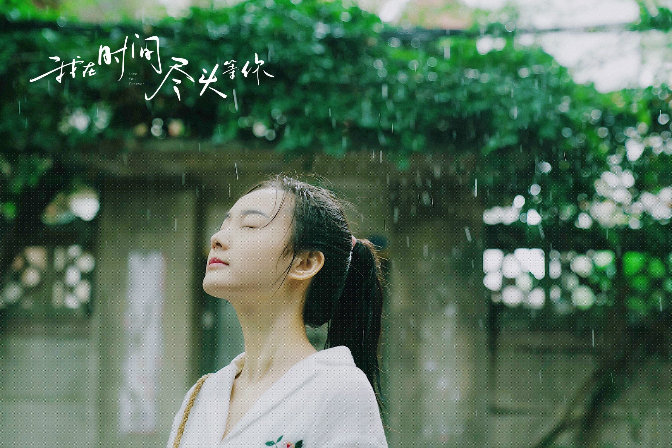 轻艇马拉松人气爆棚，报名即刻秒空，世界陆上赛艇马拉松