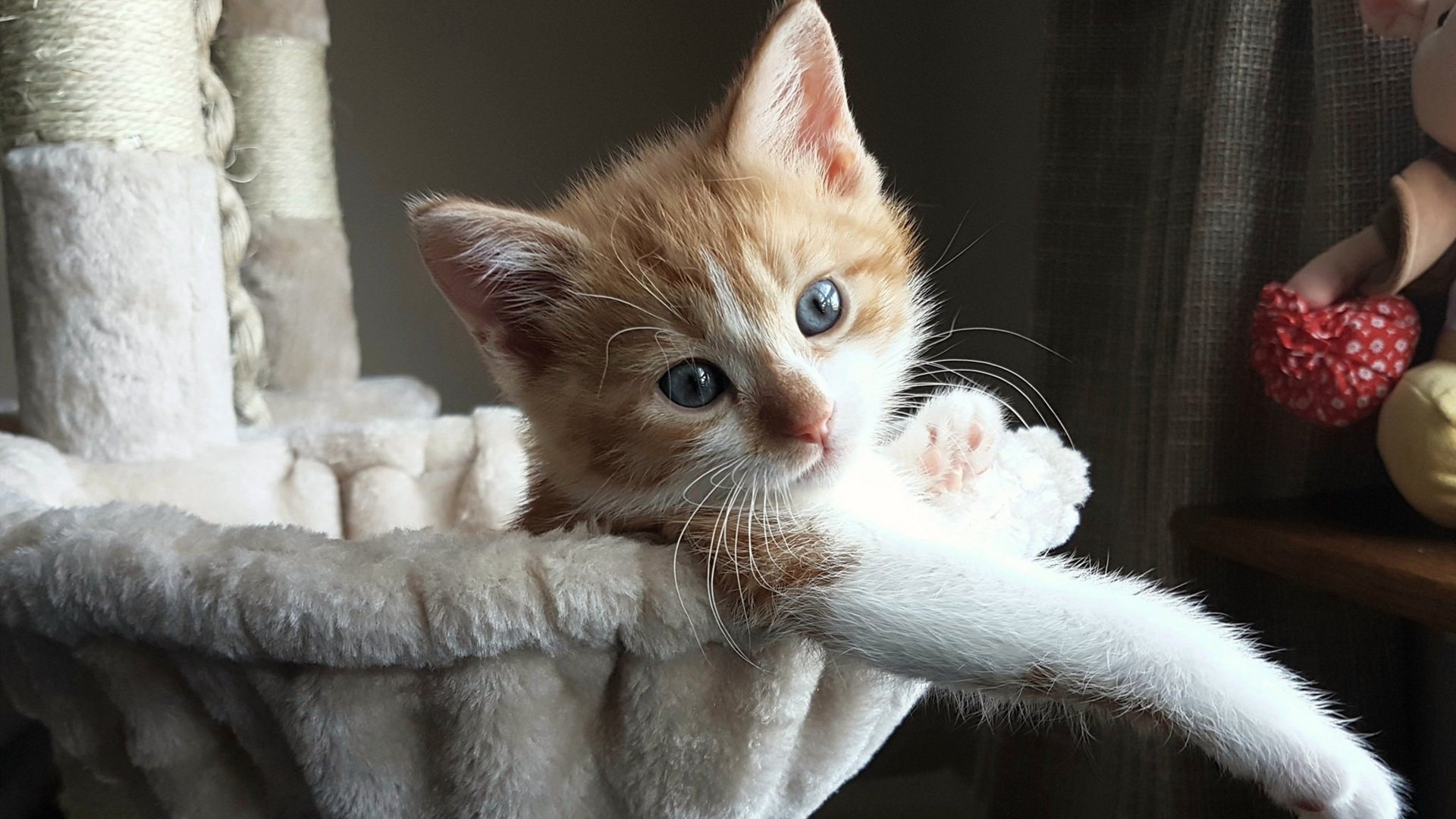 主场比赛安保加强增加观众通道提高安全与流通效率,比赛场合观众需注意什么