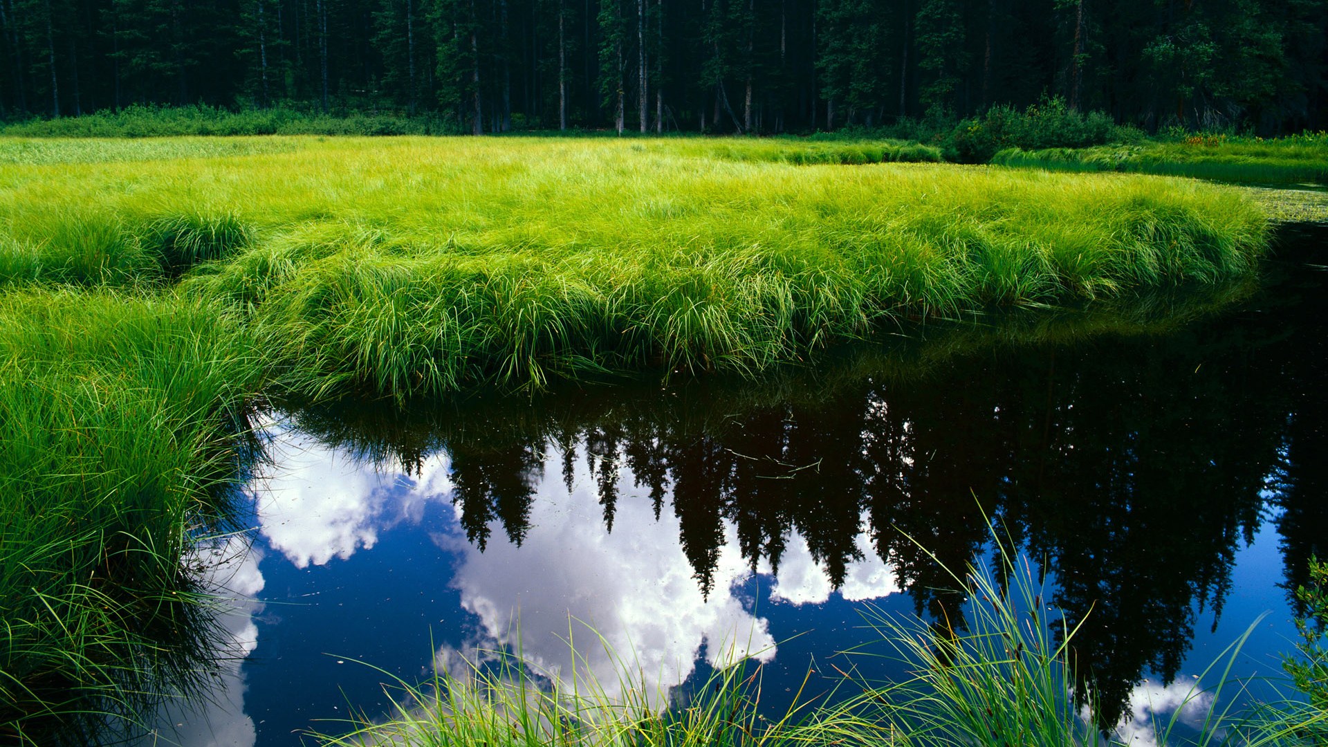 公牛拍摄宣传海报主打青春与力量主题，公牛广告词到底是什么