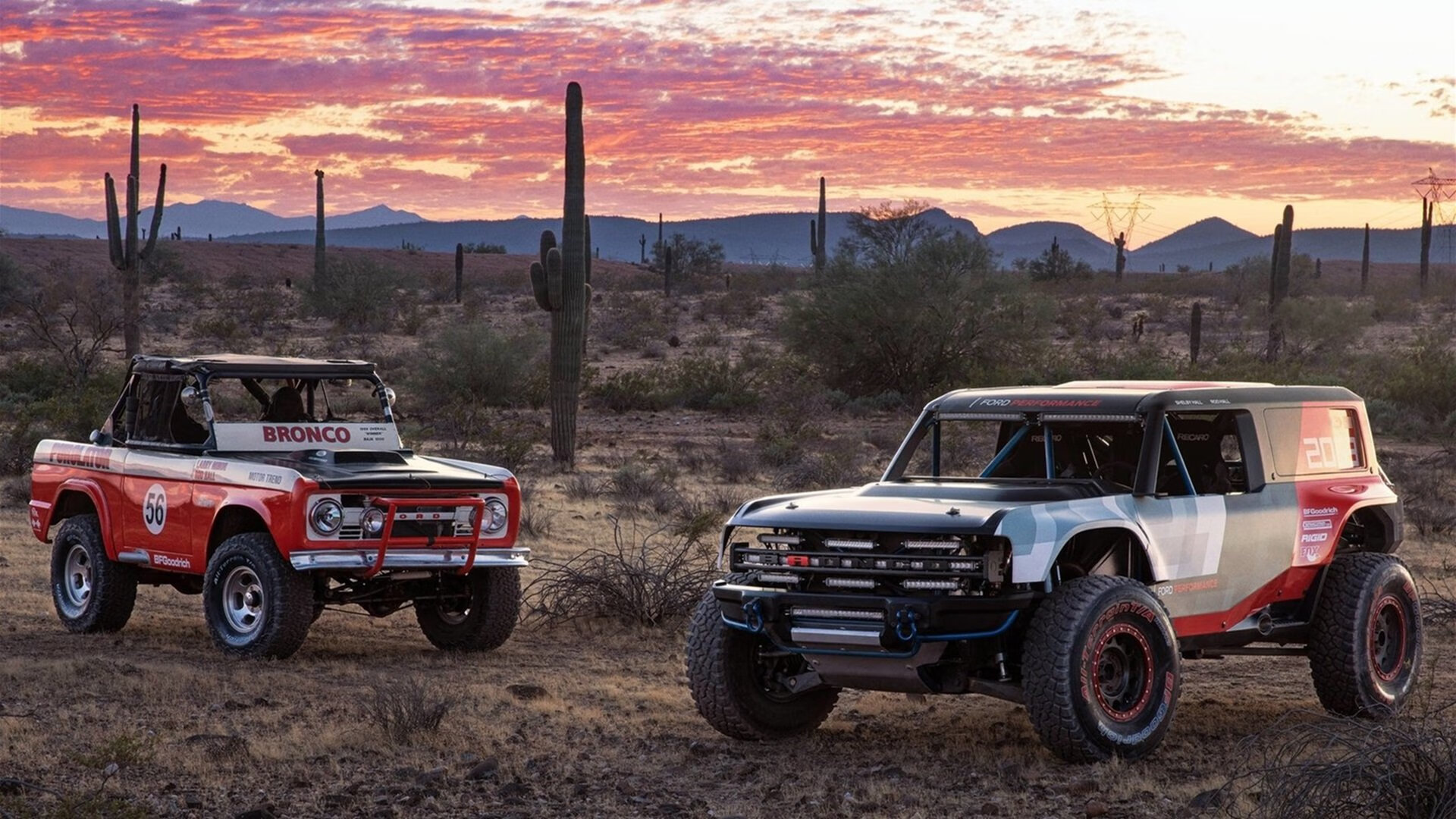 开云·Kaiyun网页版-弗朗索瓦·霍尔茨豪伊泽：南非队稳固的战术基石，一次次成功组织进攻