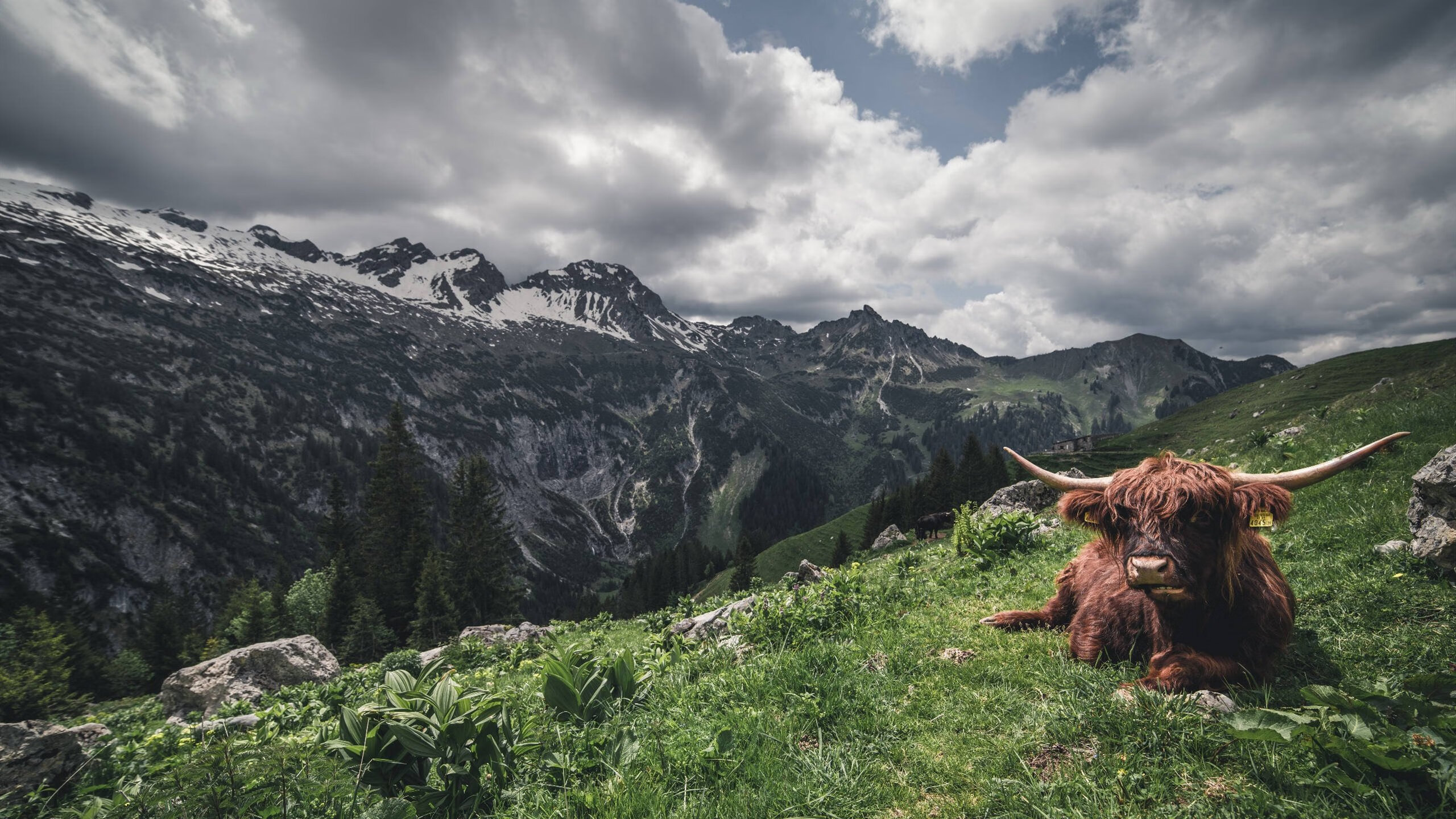 职业联赛设立家庭支持中心关注球员情绪与亲情维护,家庭球队