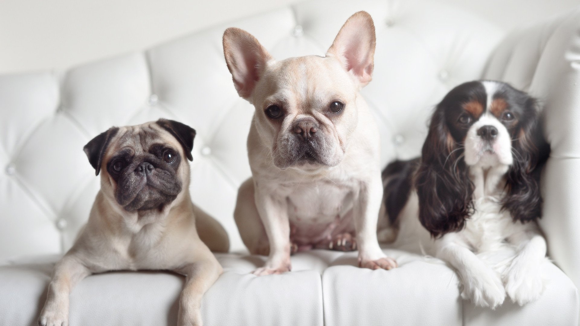 开云平台-英超激战不断：每场都精彩，如同一场盛宴！，英超现场