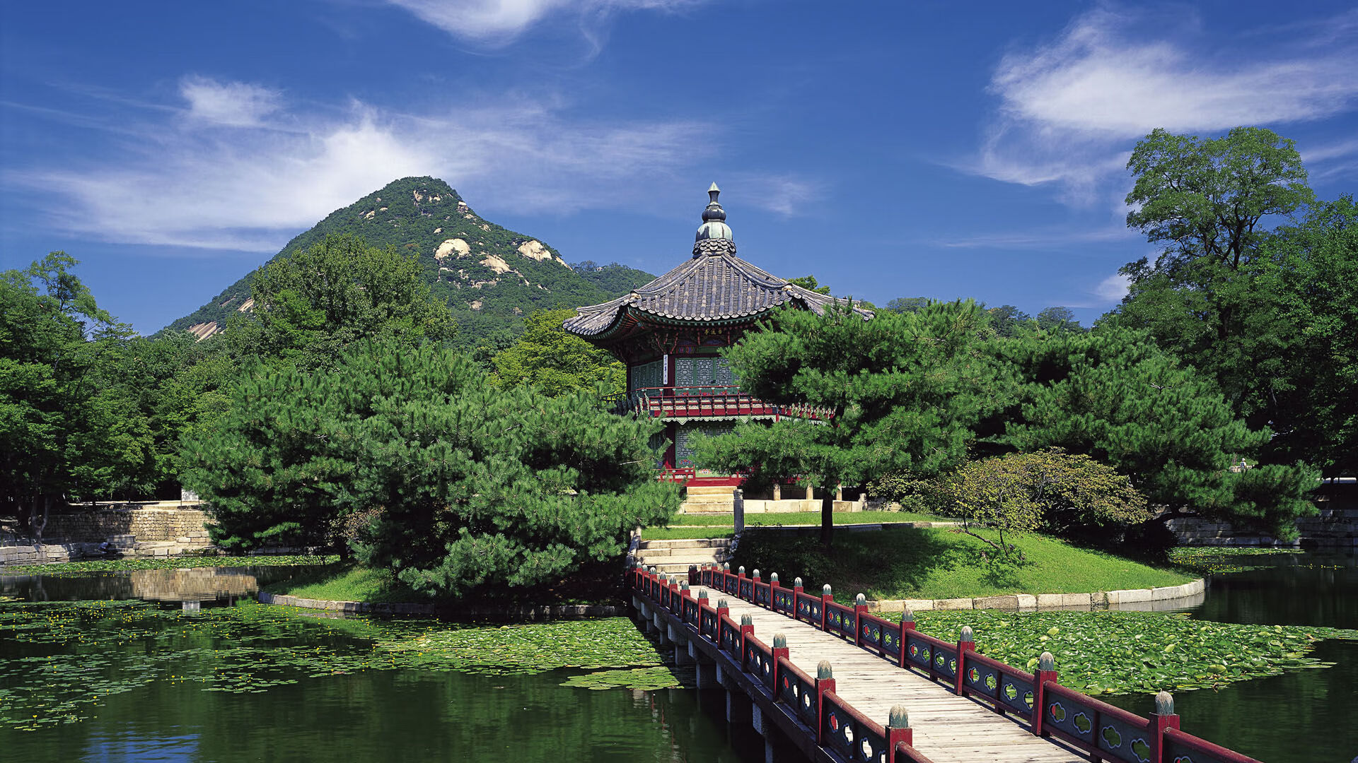 足球运动在农村地区普及率提升,振兴乡村体育事业,农村足球发展现状